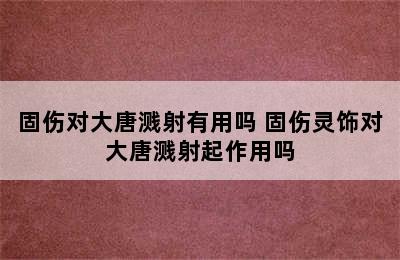 固伤对大唐溅射有用吗 固伤灵饰对大唐溅射起作用吗